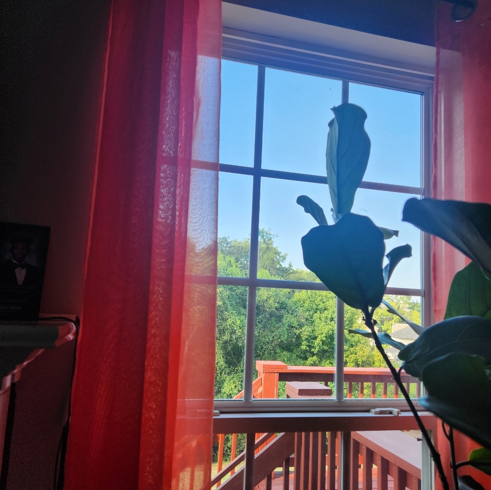 Orange Curtains
